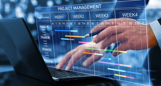 Project Management Internship